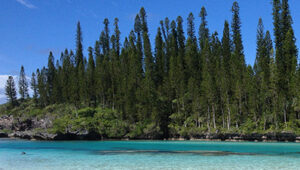 sell boat noumea new caledonia pacific